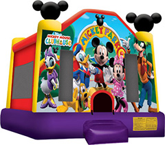 Mickey Park Jump