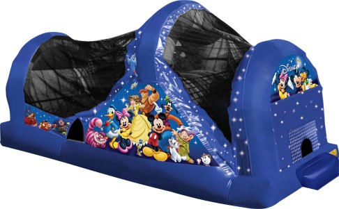 World of Disney Backyard Slide