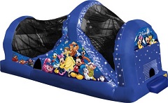 World of Disney Backyard Slide